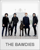 THE BAWDIES