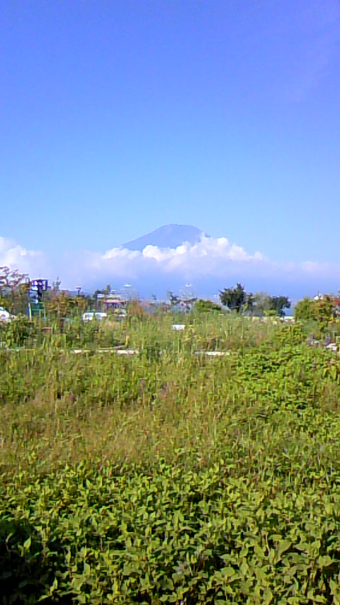 100826_0803~01.jpg