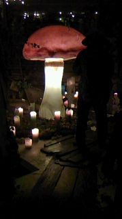 FUJIROCK_1.jpg