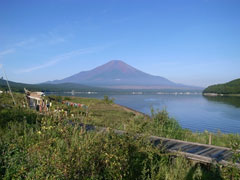 fuji_003.jpg