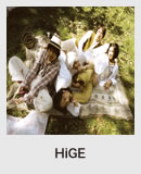 HiGE