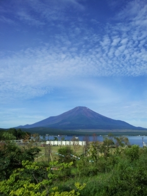 20120829_081243.jpg