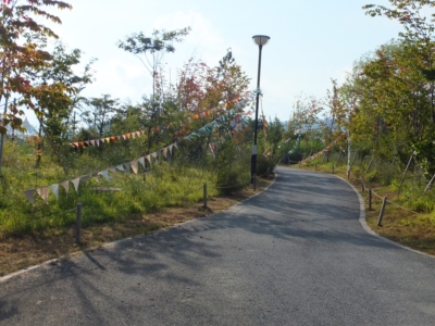 DSCF0990.JPG