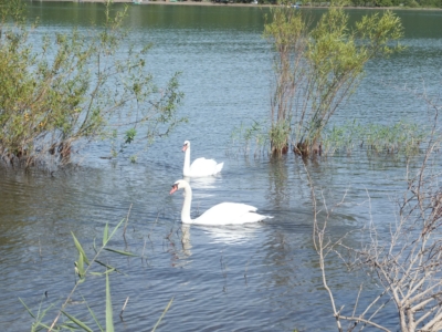 DSCF1060.JPG