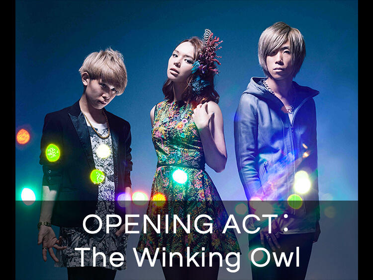 The Winking Owl