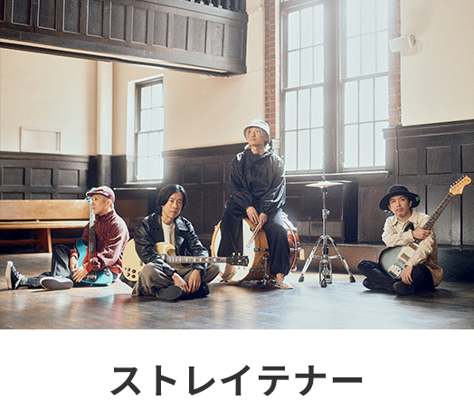 ストレイテナー